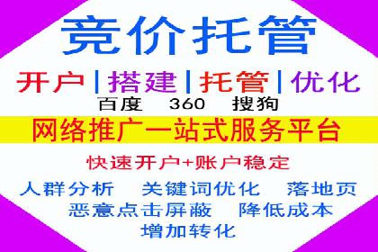成功案例解析：SEM竞价托管的优化之路